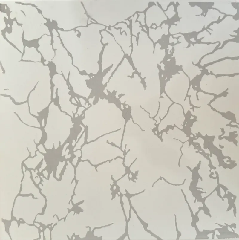 Carrelage marbré blanc craquelé 30x30 – 901