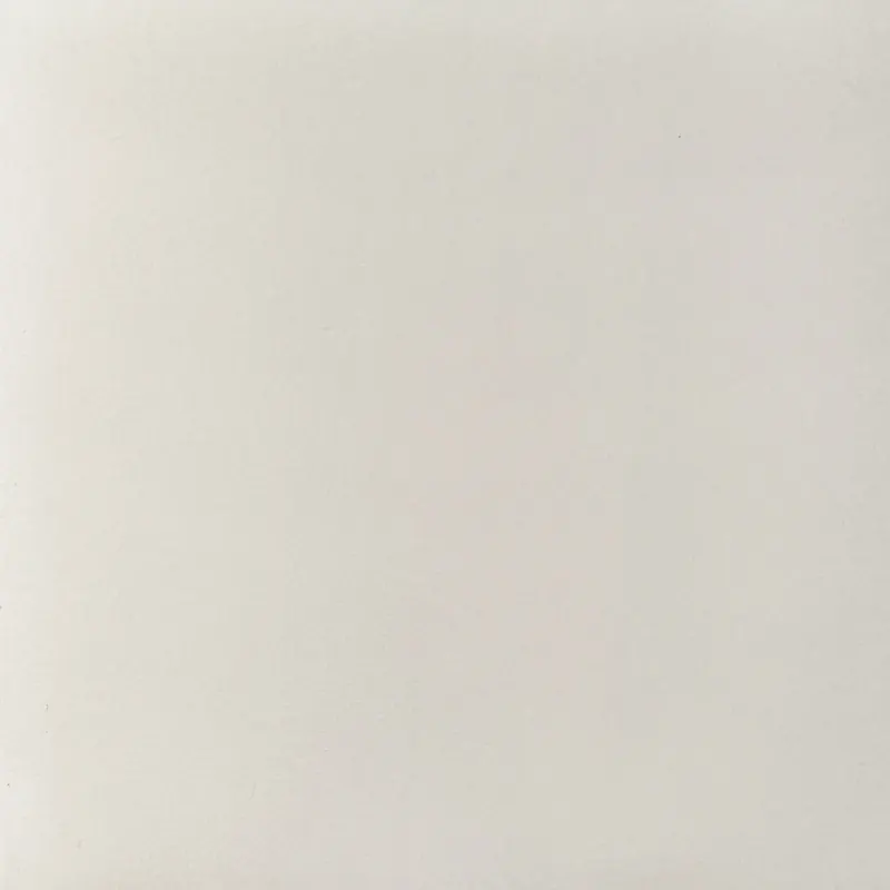 Carrelage blanc uni mat 60x60 – Plain White