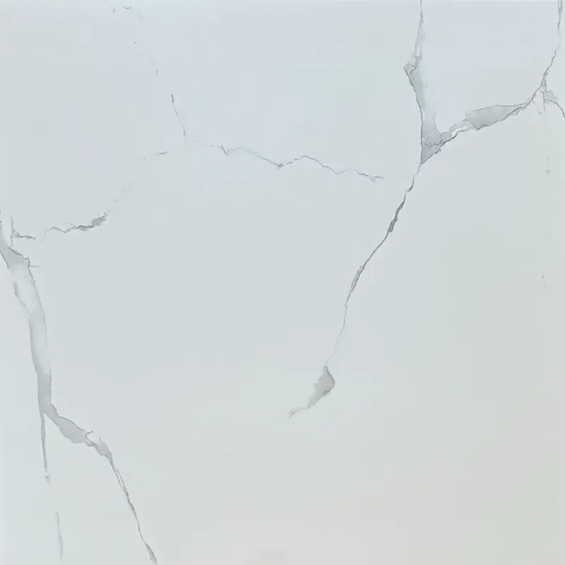 Carrelage marbré blanc 80x80 – Satvario Super White